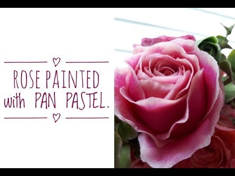 Видео: Тонировка розы пудрой PAN PASTEL. МК от Риты.ROSE painted PAN PASTEL