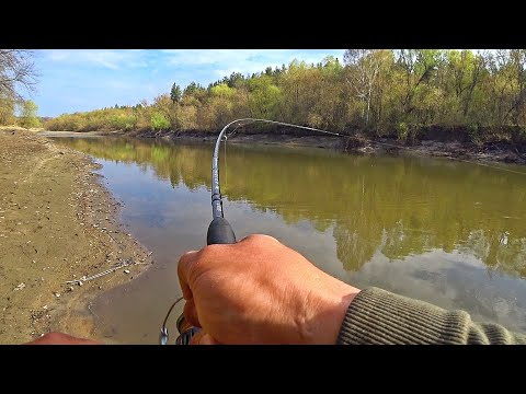 Видео: ОФИГЕТЬ! ВОТ ЭТО Я ПОЙМАЛ! ШИКАРНЫЕ ДЕБРИ ПОЛНЫЕ РЫБОЙ! Рыбалка на спиннинг 2025.