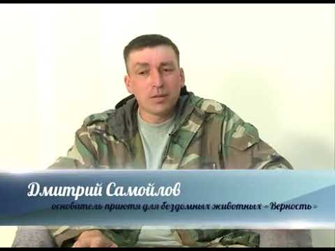 Видео: Дмитрий Самойлов основатель БЕСПЛАТНОЙ ВЕТСАНЧАСТИ и приюта для животных "Верность".Помощь животным