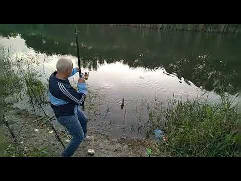 Видео: И снова на рыбалку на реку Аксай