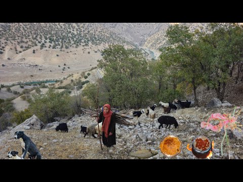 Видео: Кочевая жизнь: одинокие девушки-кочевницы ищут овец в горах Загрос и готовят кочевую пасту.