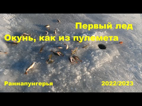 Видео: Первый лед. Окунь, как из пулемета. Чудское озеро.2022/2023