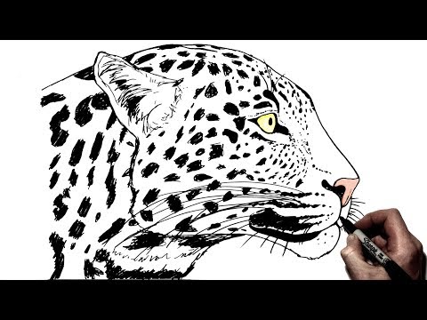 Видео: Как нарисовать леопарда | Вид сбоку | Шаг за шагом