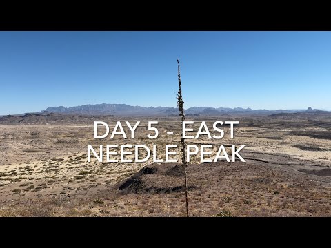 Видео: День 5 из 5 — Рокхаундинг на частных ранчо в Западном Техасе