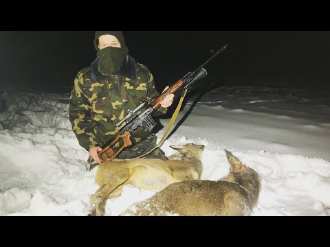 Видео: Охота на косулю с подхода 2022. Новичкам везёт.