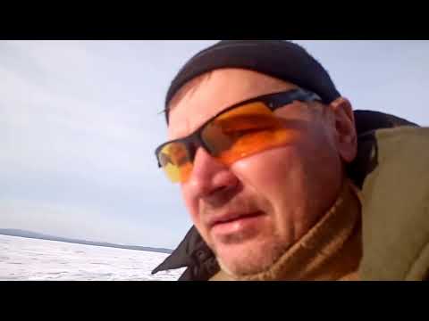 Видео: Лазарев  Мыс Джаурэ, рыбалка на льду ловля зубаря 26 февраля 2023 г.