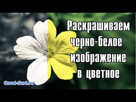 Видео: Превращаем черно-белую фотографию в цветную в Paint.net