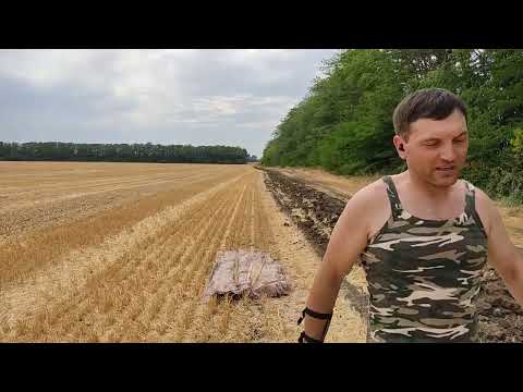 Видео: как далеко стреляет примитивный деревянный лук