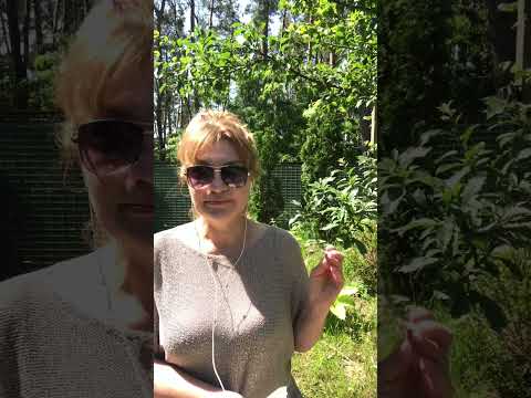 Видео: ДОИГРАЛАСЬ😱Бумеранг Прилетел Ей За Все⁉️Таро для мужчин👨🏻‍⚖️