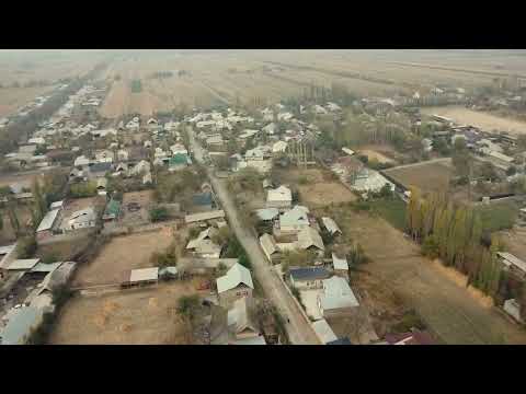 Видео: 4 ноября 2025 г.