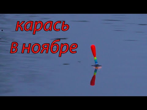Видео: Рыбалка на карася в ноябре !