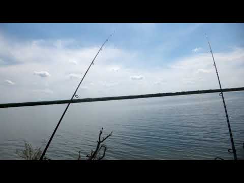 Видео: Новотроицкое, от Пал Палыча   24 05 19