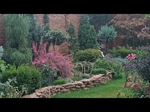 Видео: Як зробити підпірну стінку і міні-ставочок, показую на новій діляночці. Частина 1.