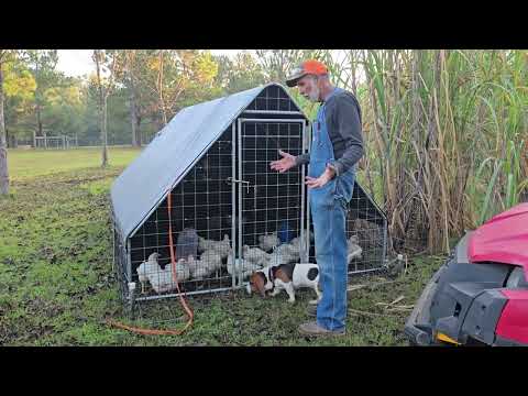 Видео: Перед первым туром FROST