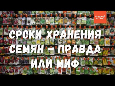 Видео: Куда девать семена у которых истек срок годности | Как продлить срок годности семян овощей