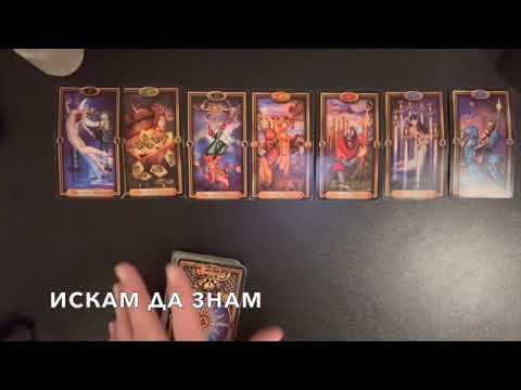 Видео: Здраве, любов, пари