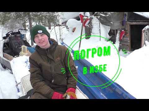 Видео: Разбойник на избе зимой. Кто бы ЭТО мог быть?