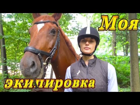 Видео: Сколько стоит моя экипировка?