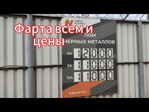 Видео: Цена на металл позволяет копать если его много. Коп-металла в 2025 году продолжаем.