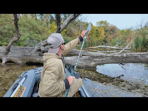 Видео: Знайшов його на 15 см ПРЯМО В БЕРЕЗІ!