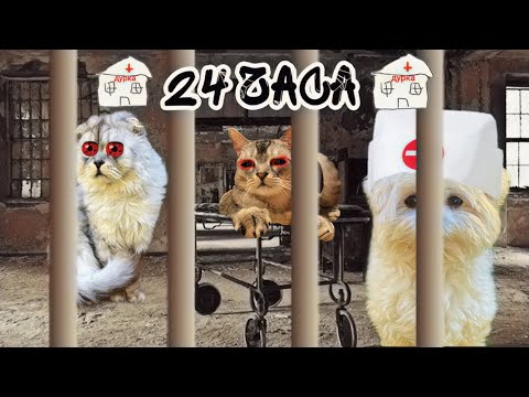 Видео: 24 ЧАСА В ПСИХУШКЕ | У КЕВИНА ПРОБЛЕМЫ