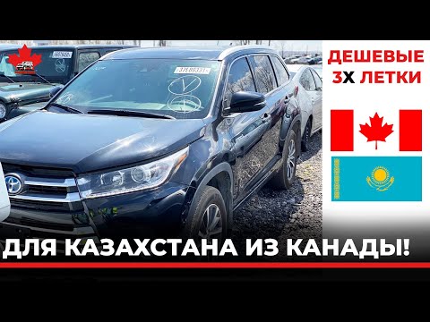 Видео: Дешевые 3-х летки для Казахстана из Канады.