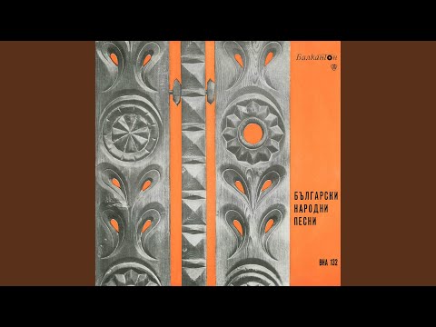 Видео: Загукала е гълъбка