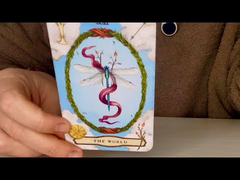 Видео: БЛИЗНЕЦЫ! 6-15/11/25! Вперед или назад? 