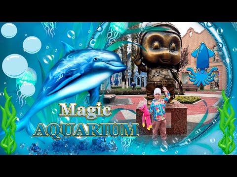 Видео: Ташкент Magic Park Океанариум 2022