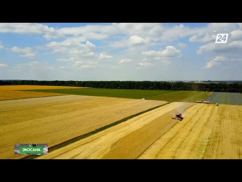 Видео: Азық-түлік тапшылығын еліміз қалай шешпек? | Экосана