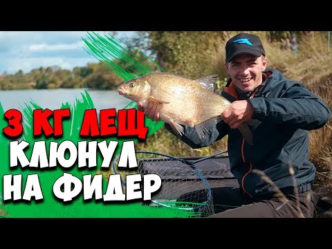 Видео: Клюнул ТРЕХ килограммовый красавец ЛЕЩ! Ловля леща на ФИДЕР осенью! Березина 2019!