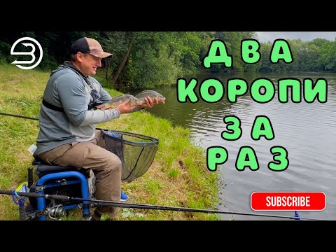 Видео: Таке буває рідко! Дві риби одразу – риболовля влітку