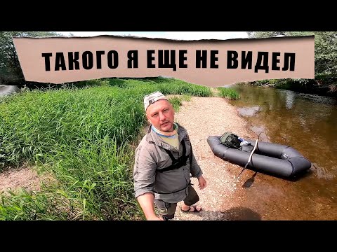 Видео: Пакрафт - не для слабаков | Сплав по Протве | Купель в лесу на ручье Громовой #ярикналивай