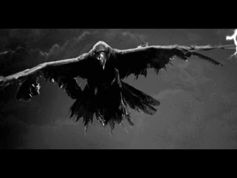 Видео: Субдибула - Капка вечност