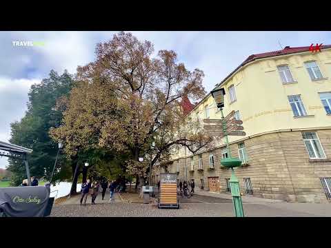 Видео: Осiння прогуляна по Ужгороду! 4К