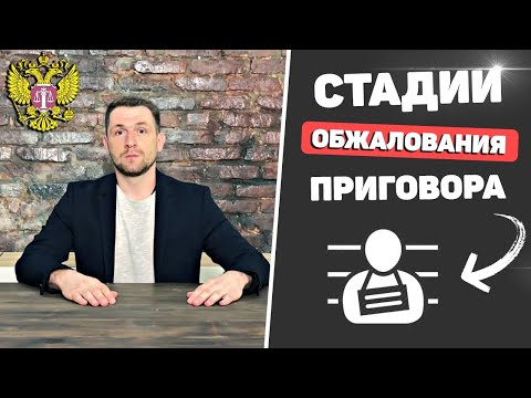 Видео: Сколько раз можно обжаловать приговор?