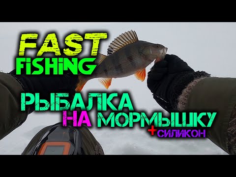 Видео: Рыбалка зимой на мормышку и силикон (FAST FISHING)