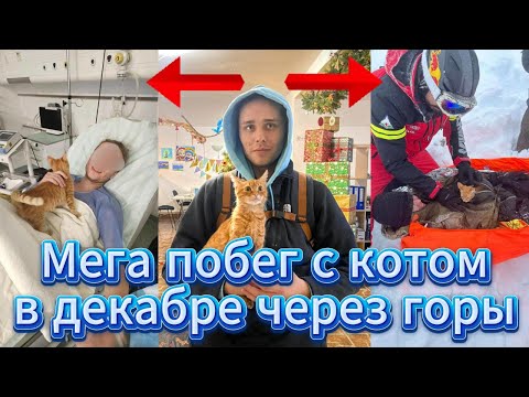 Видео: Мега побег с котом в декабре через горы