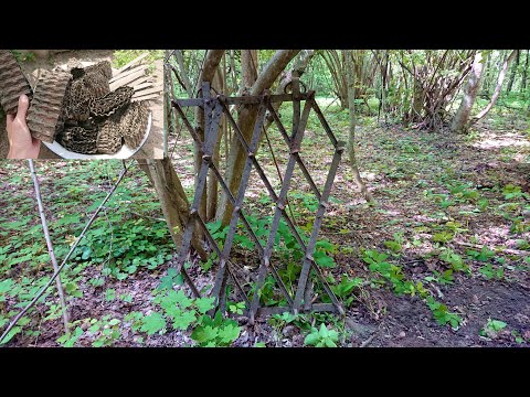 Видео: Нашёл мини колхоз в лесу! Разгребаю орудия труда предков. Ищу заново металлолом который спрятал!