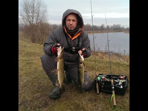 Видео: Открытие по щуке. Твичинг в январе на озерах