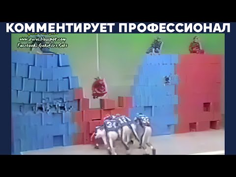 Видео: БИТВЫ СТЕН ИЗ КОРОБОК В ЯПОНИИ