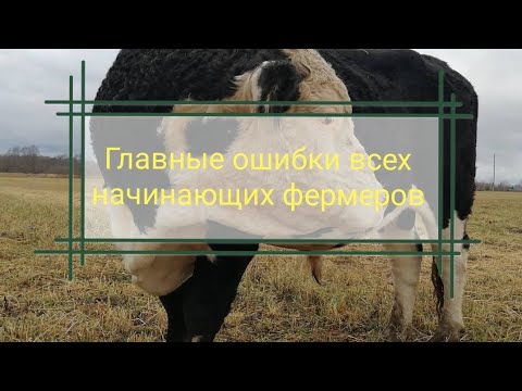 Видео: Главные ошибки переселенцев. Ценность пастбища и обо всём по маленьку.