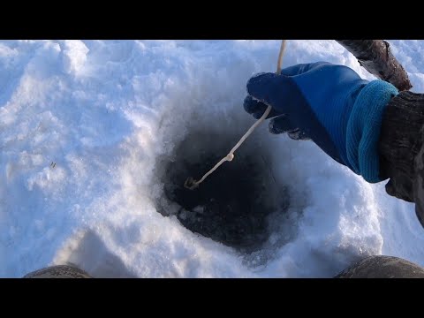 Видео: Проверка снасти в ноябре. Река Алдан.