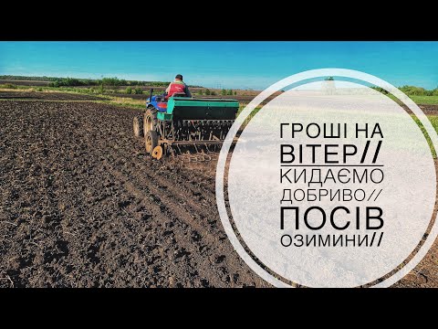 Видео: Гроші на вітер//Вносимо добриво//посів озимини//100 кг добрива