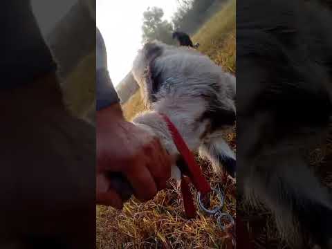 Видео: 20 октября 2025 г.