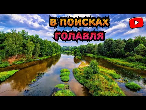 Видео: А ВЫ ТАК ЛОВИЛИ!?😳 НЕОЖИДАННАЯ ПОКЛЕВКА