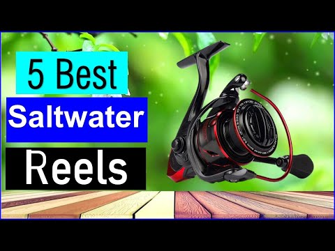 Видео: 5 лучших катушек для морской рыбалки в 2025 году | Лучшие катушки для морской рыбалки — обзор