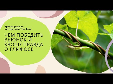 Видео: 638. Чем победить вьюнок и хвощ? Правда о ГЛИФОСЕ.