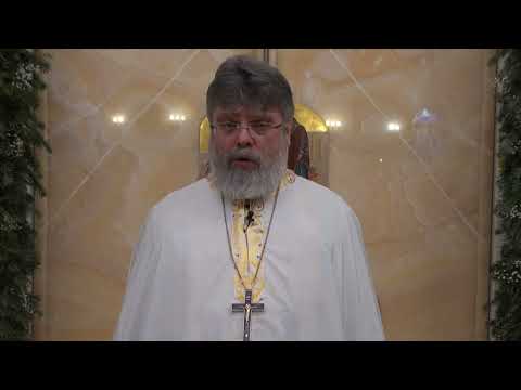 Видео: Слово перед причастием на Божественной Литургии 16 января 2022г.