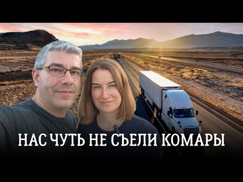 Видео: Нас чуть не съели комары. Как люди живут в этих местах, не понятно!